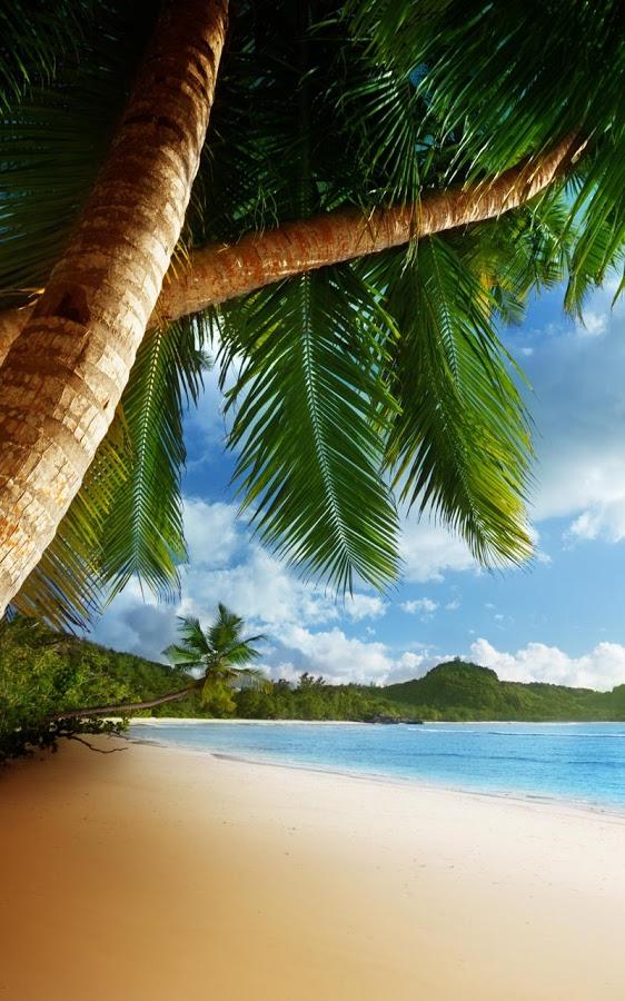 Tropical Beach Live Wallpaper - Island Beach Background - HD Wallpaper 