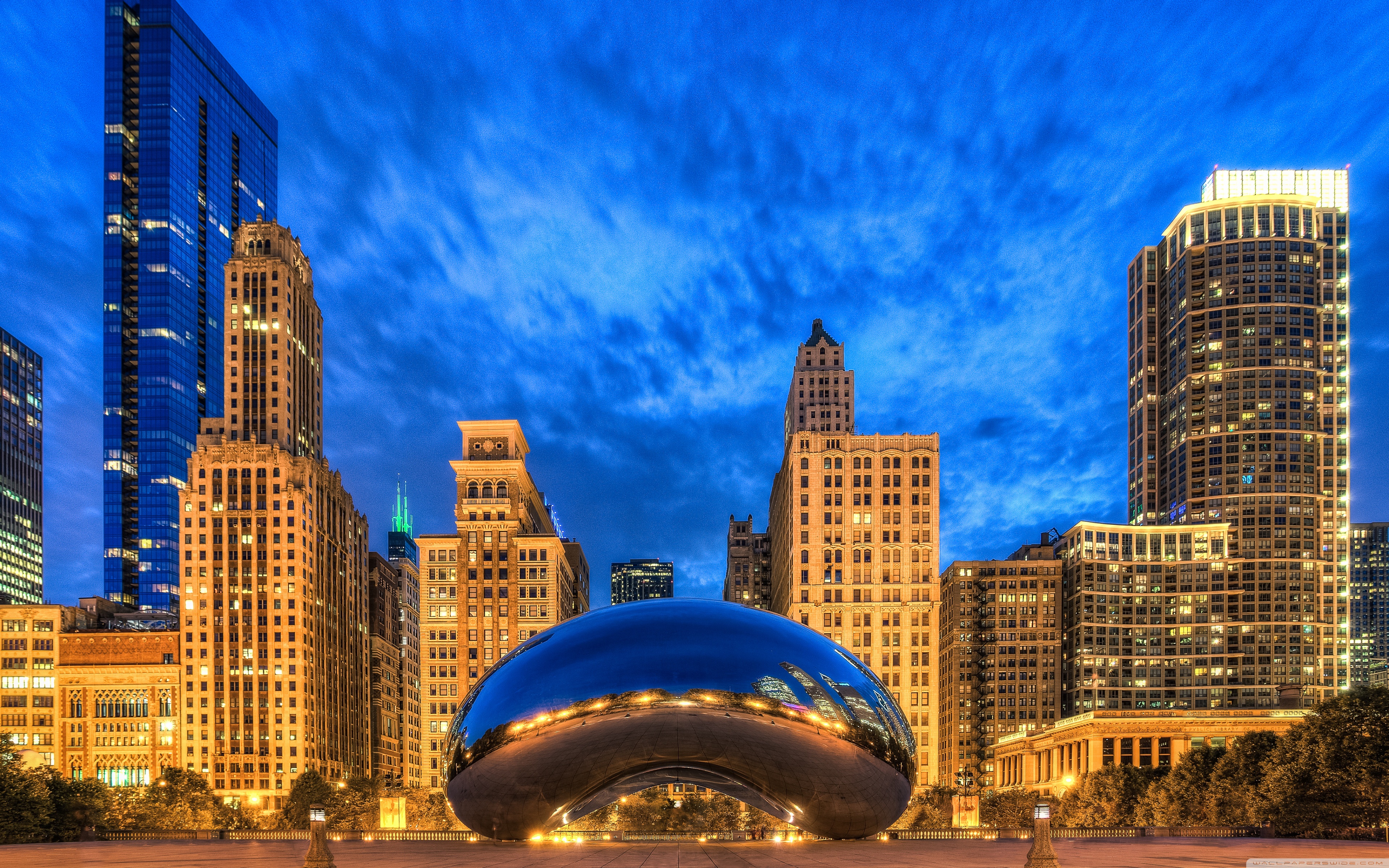 Bean Chicago - HD Wallpaper 