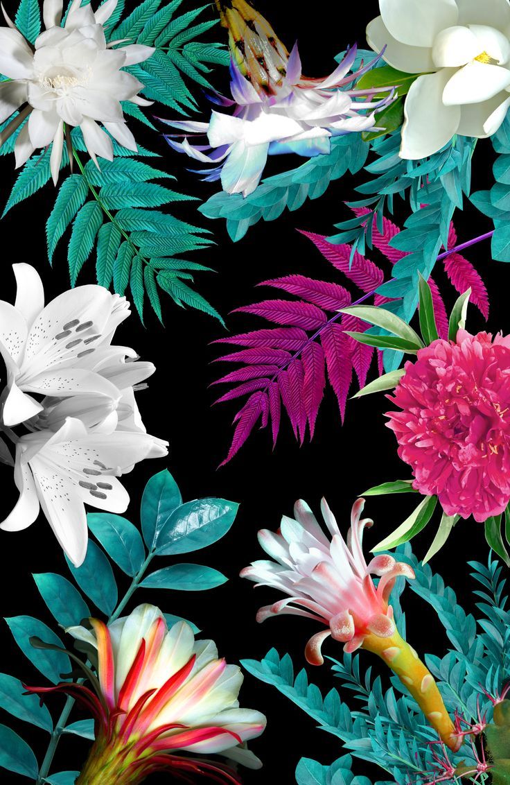 Tropical Floral Wallpaper Hd - HD Wallpaper 
