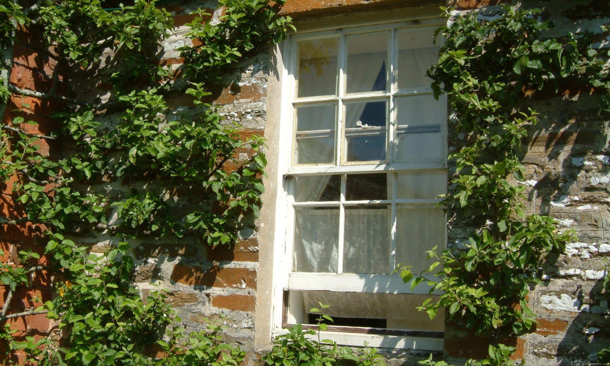 English Cottage I - Sash Window - HD Wallpaper 