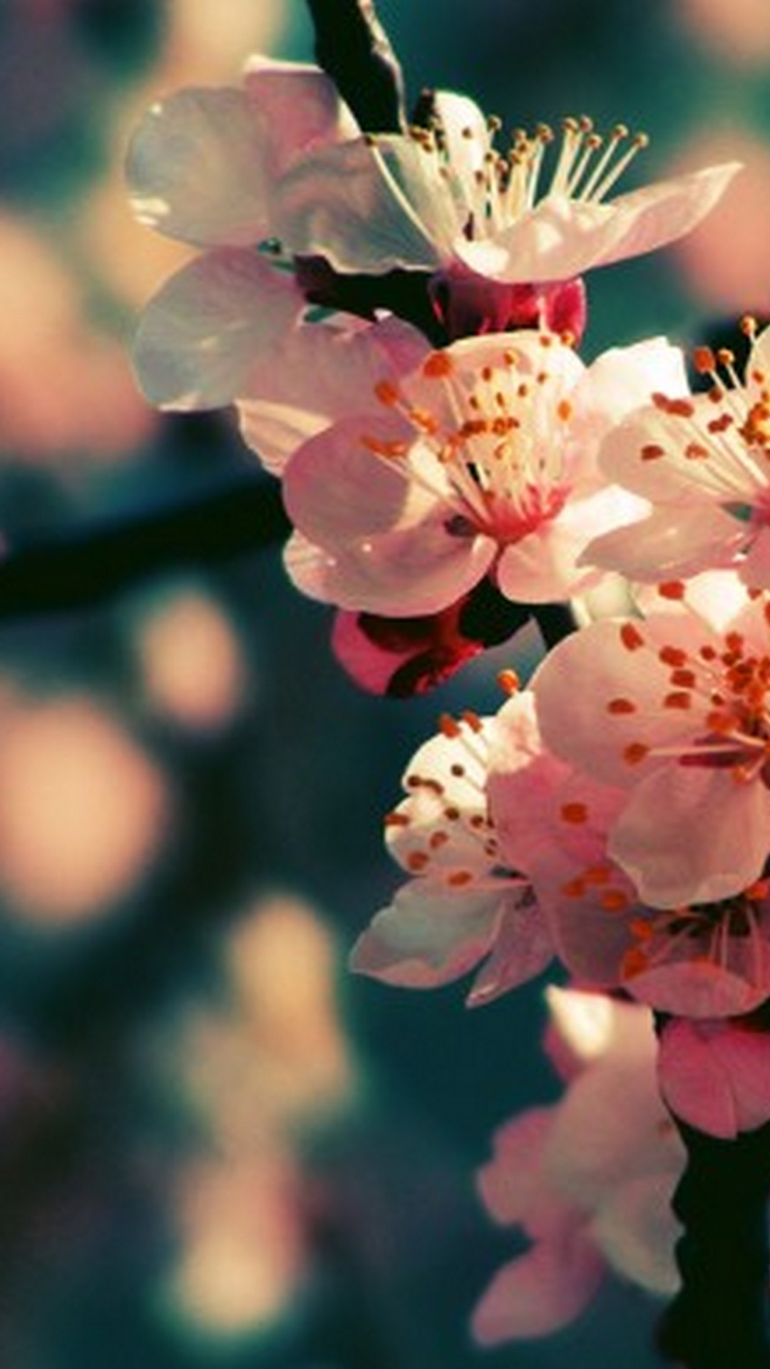 Springtime Wallpaper Iphone With High-resolution Pixel - Spring Winter Wallpaper Hd - HD Wallpaper 