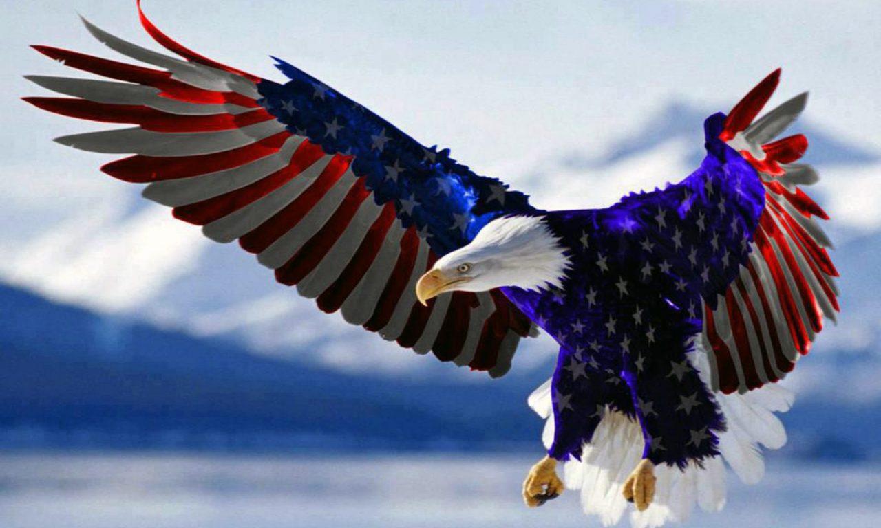 Bald Eagles American Flag - HD Wallpaper 