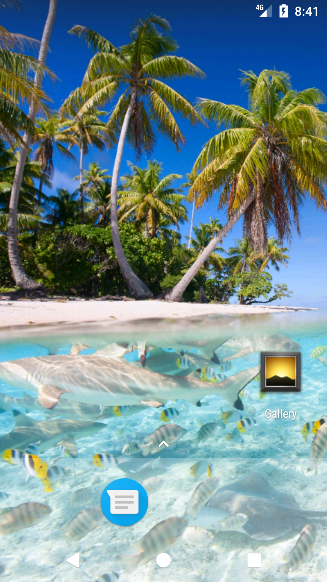 Hd Wallpaper Fish Beach - HD Wallpaper 