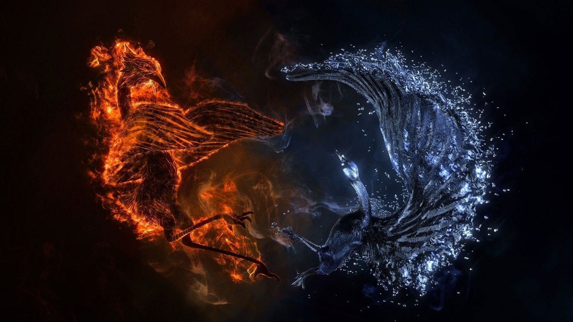 Pictures Of Dragon Ying Yang Wallpapers Data Src - Phoenix Wallpaper 4k