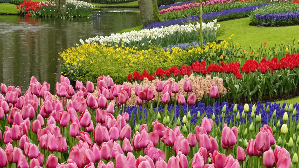 Beautiful Spring Wallpapers - Beautiful Spring Desktop Backgrounds - HD Wallpaper 