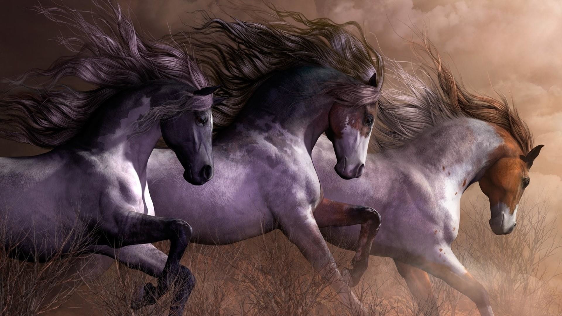 1920x1080, Galloping Wild Horses Wallpaper - 3 Horses Running - HD Wallpaper 