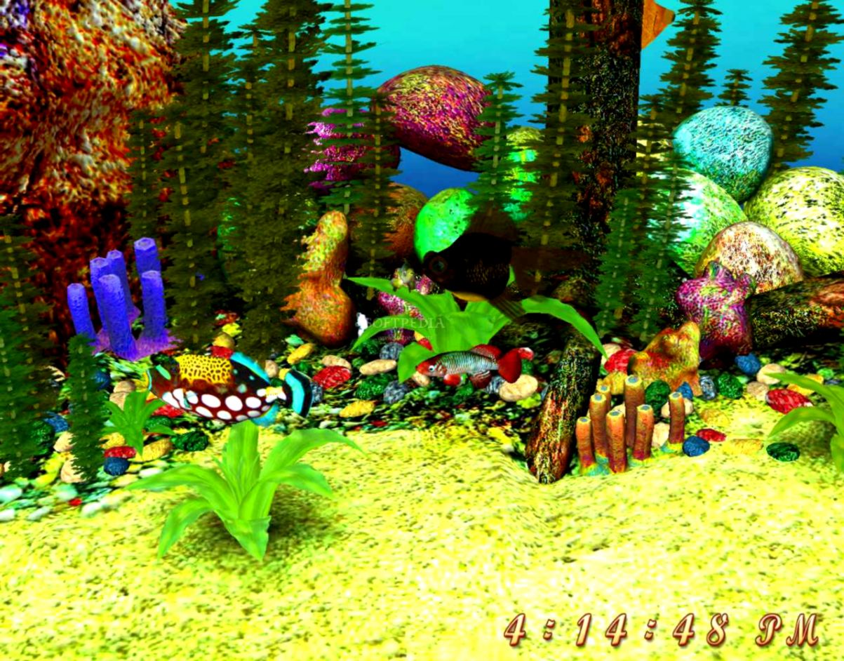 Download Free 3d Aquarium Screensaver - Free 3d Aquarium Screensaver - HD Wallpaper 