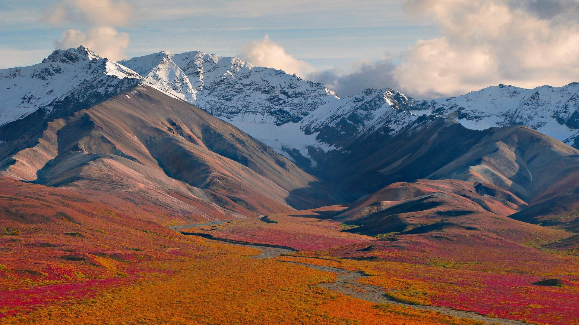 Denali National Park Mountain View In Alaska United - Brooks Range Mountains Alaska Usa - HD Wallpaper 