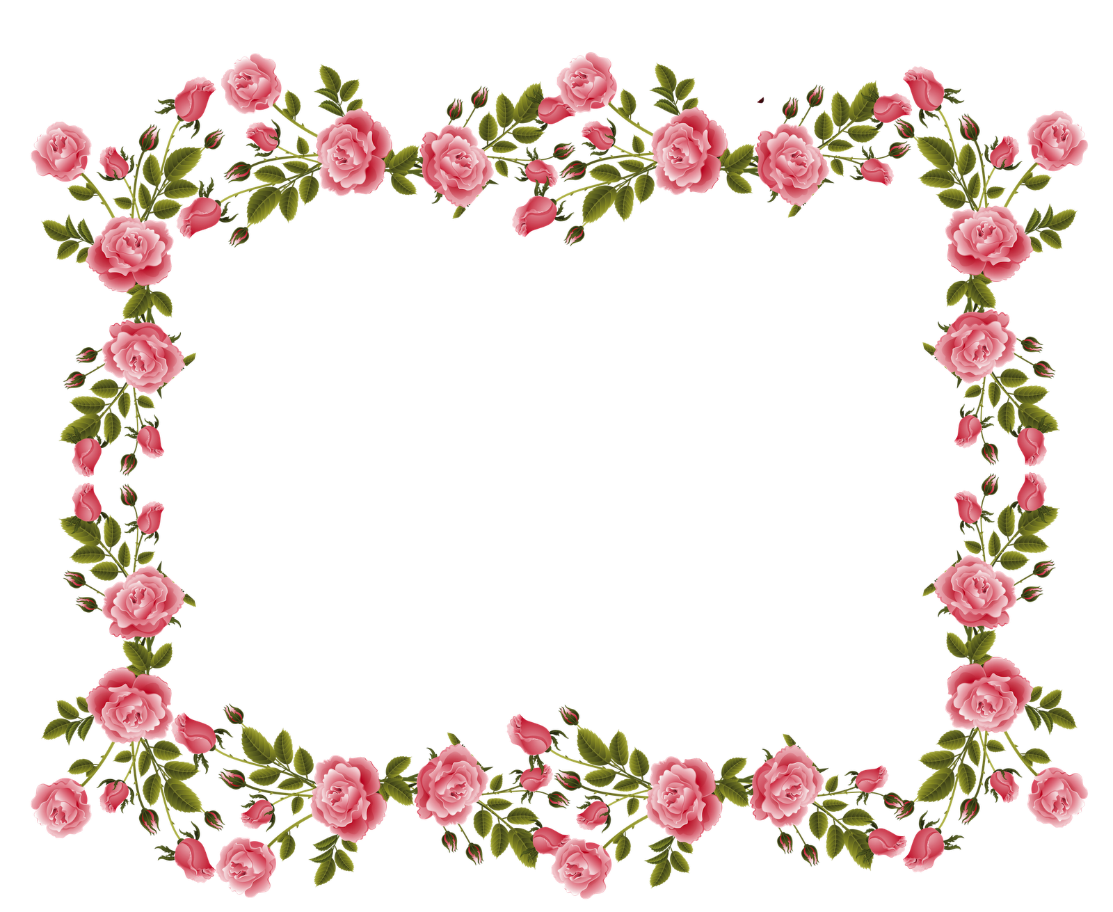 Pink Rose Frame - HD Wallpaper 