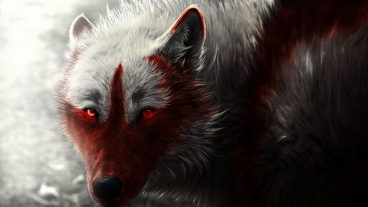 White Wolf Red Eyes - HD Wallpaper 