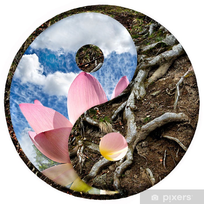 Yin Et Le Yang - HD Wallpaper 