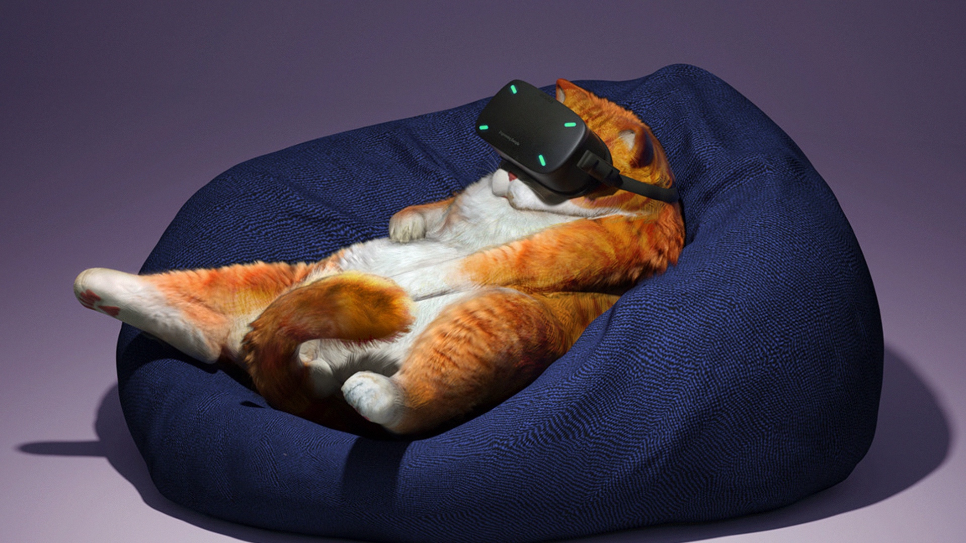 Wallpaper Cat, Glasses, Virtual Reality, Funny, Cool - Cat With Vr Glasses - HD Wallpaper 