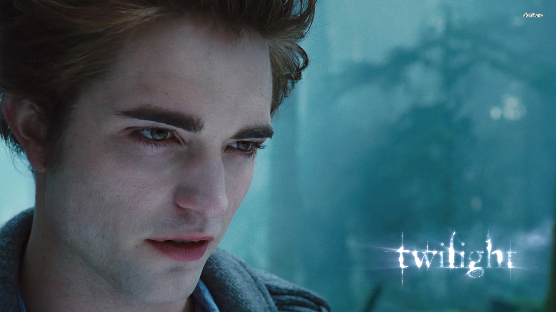 Edward Cullen Twilight 1 - HD Wallpaper 