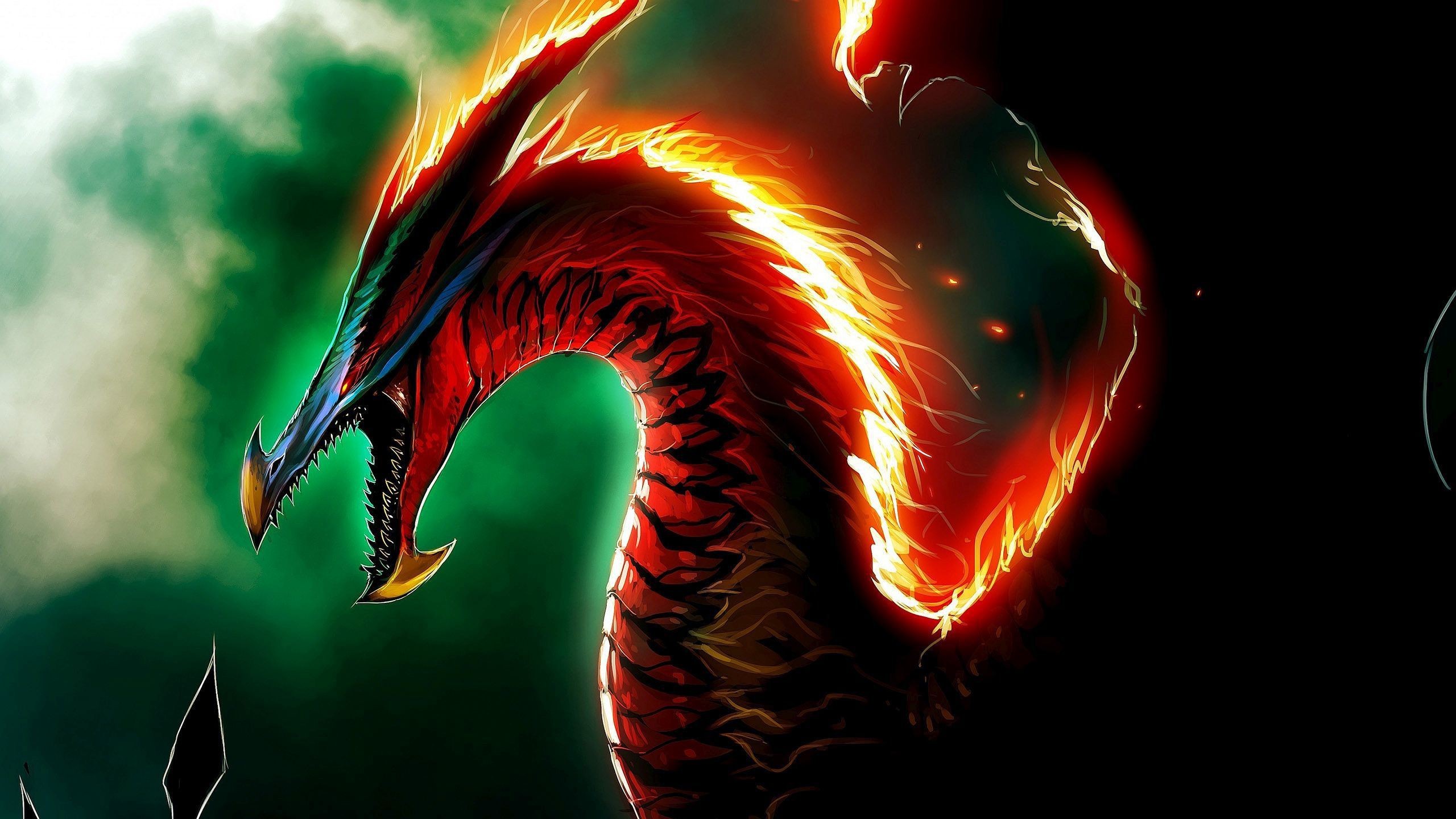 Red Fire Dragon Free - 2560x1440 Wallpaper 