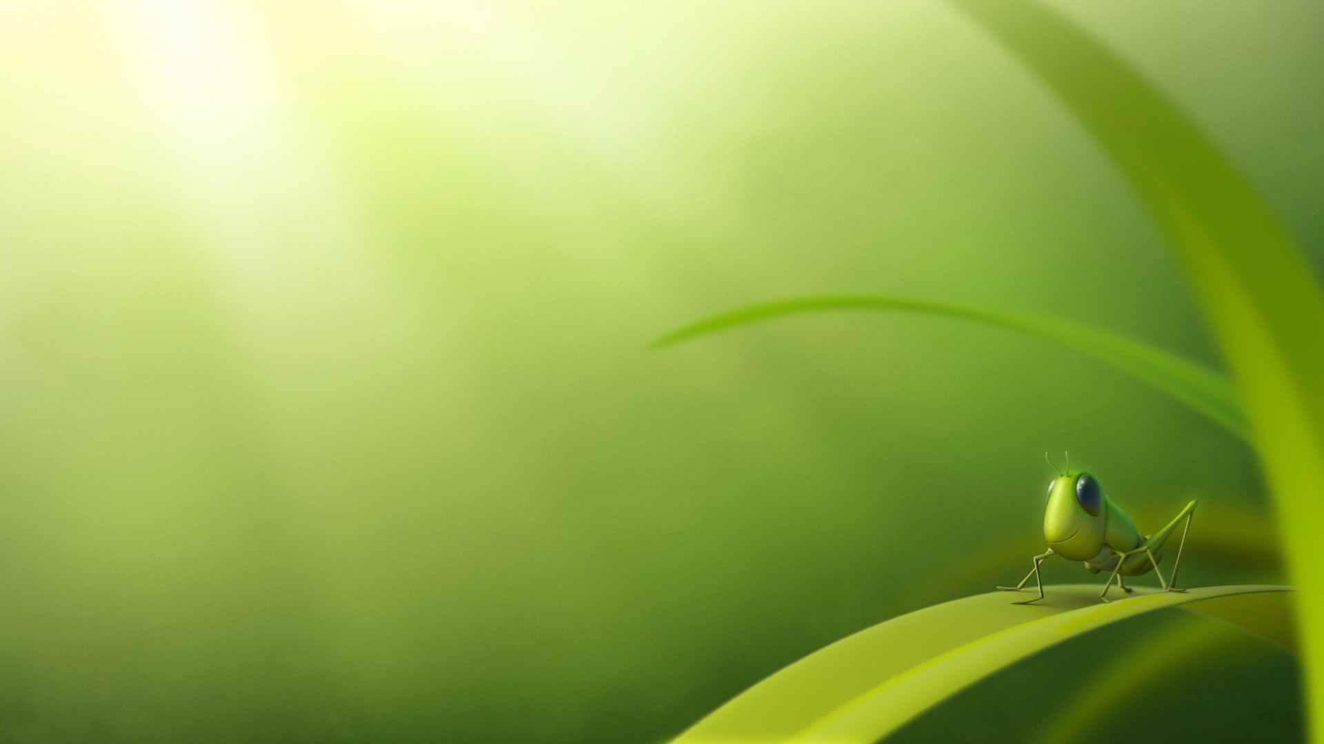 Macro Photography - HD Wallpaper 