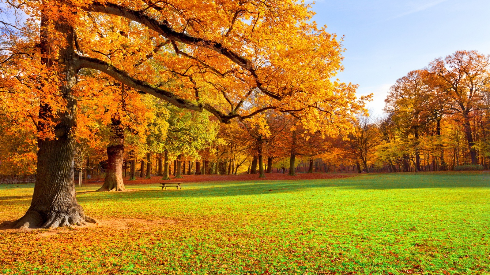 Fall Scenery Hd Wallpaper - Autumn Scenery - HD Wallpaper 
