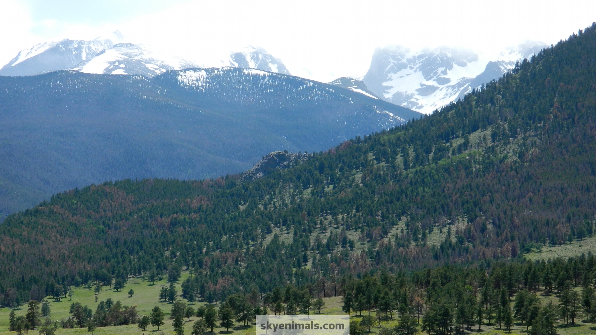 Summit - HD Wallpaper 