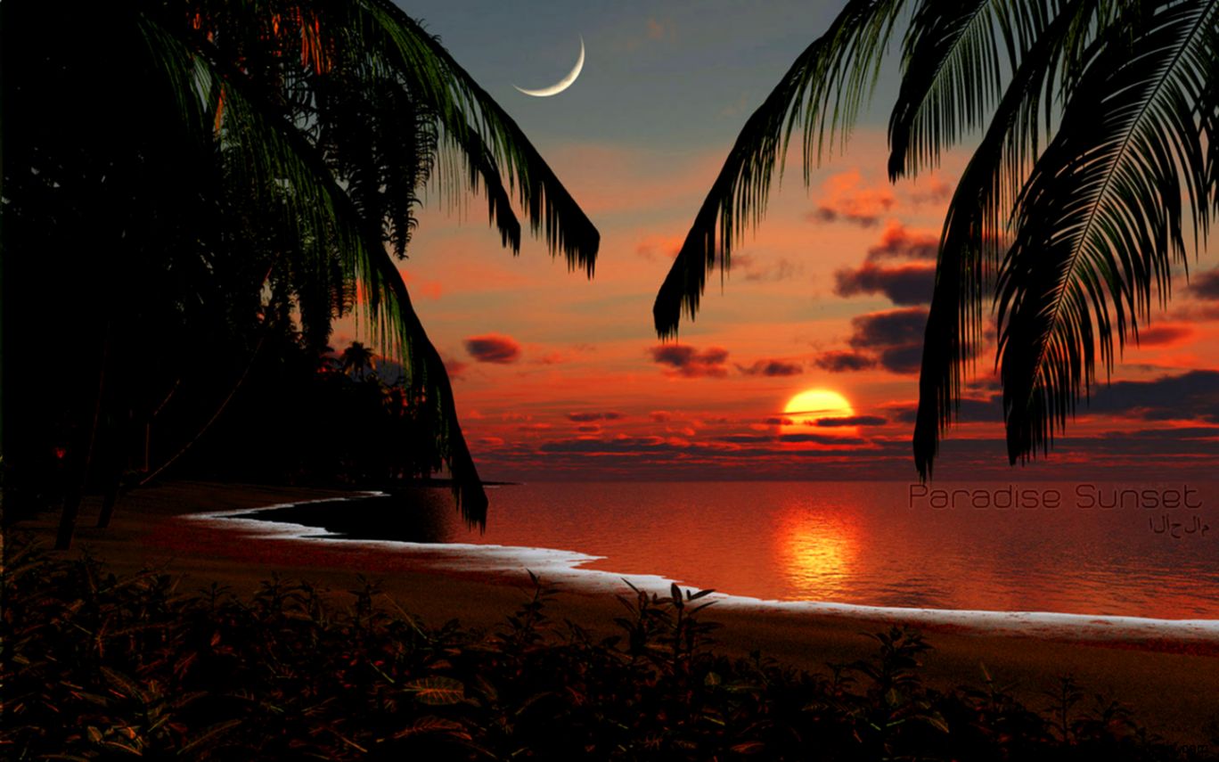 Paradise Sunset Beach Background - HD Wallpaper 