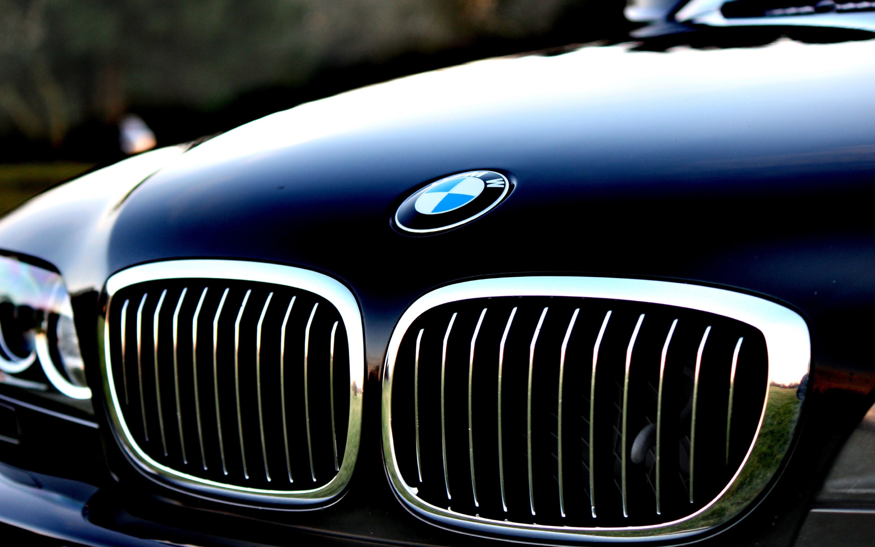 Front Side Of Bmw Car Hd Wallpapers Â - Hd Bmw Car Wallpapers 1080p -  2880x1800 Wallpaper 