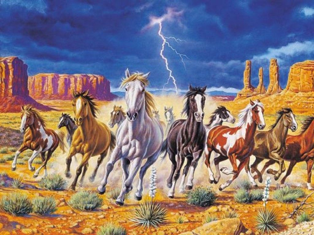 Wild Horse Backgrounds - HD Wallpaper 