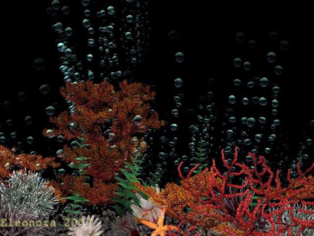 Aquarium Background 3d Wallpaper Image Num 77