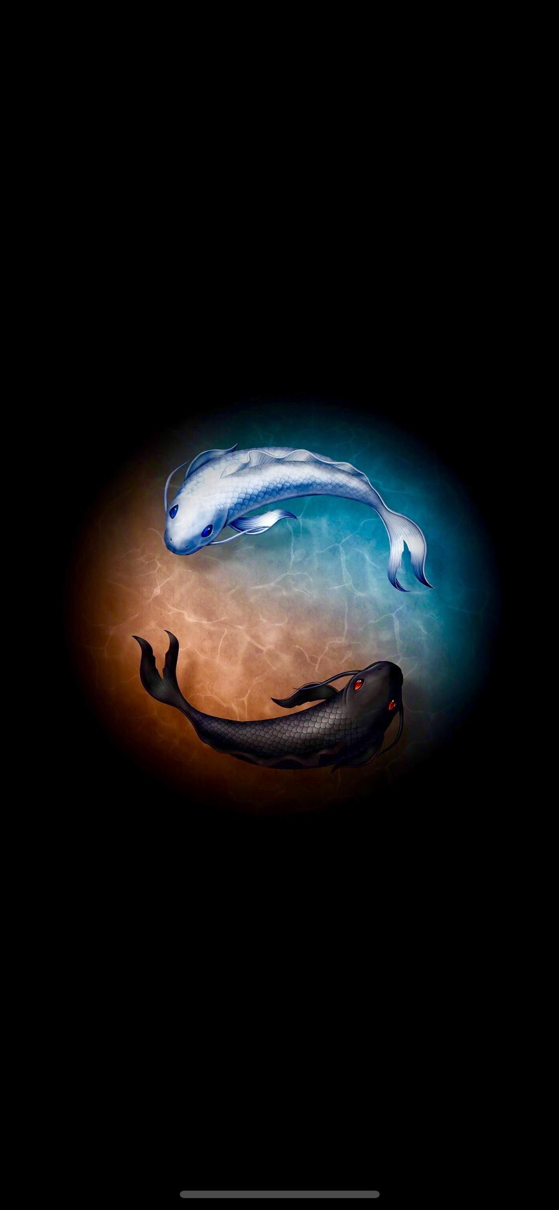 Yin Yang Wallpapers Amoled Fish - HD Wallpaper 