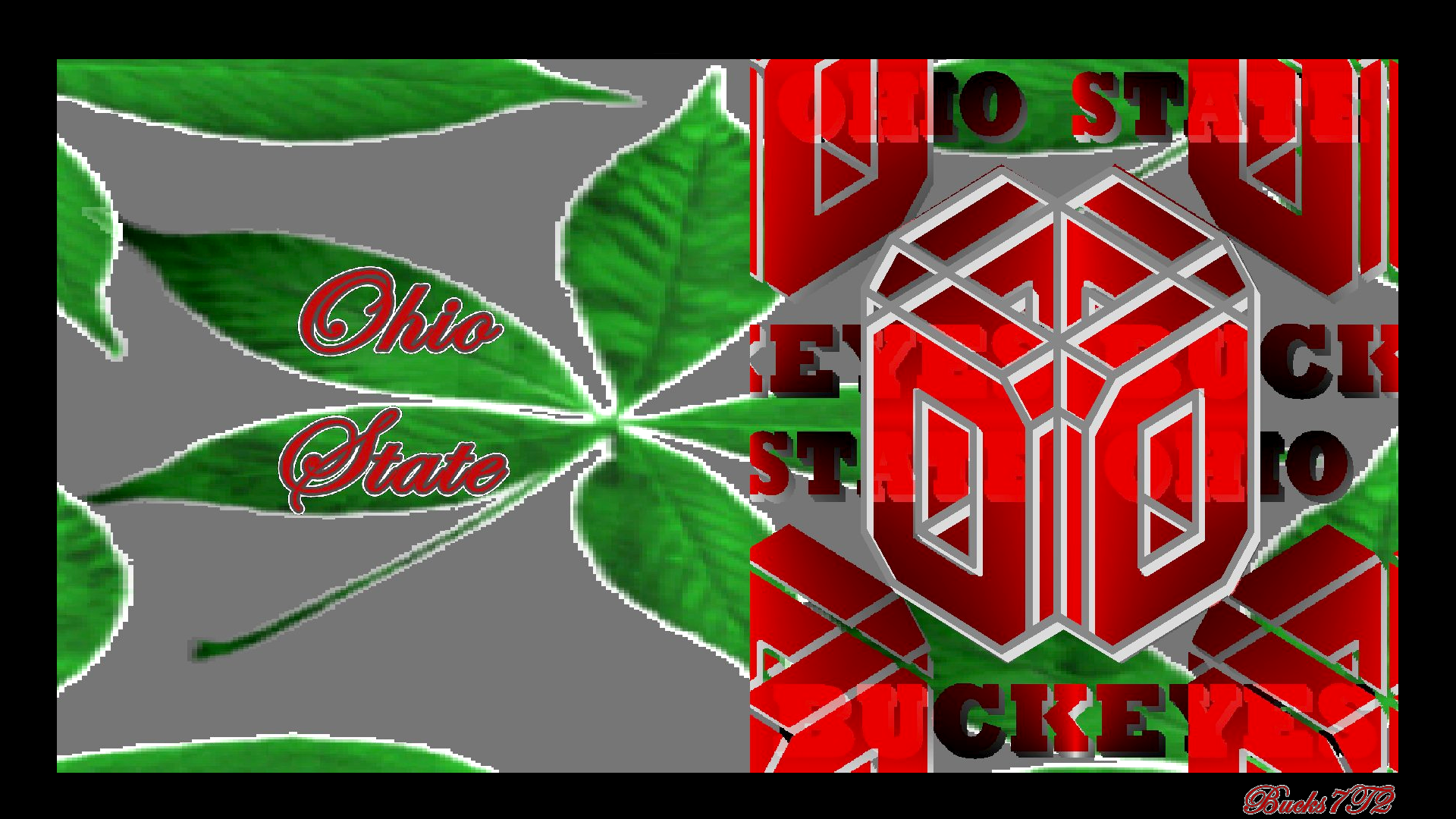 3d Red Block O On Buckeye Leaves - HD Wallpaper 