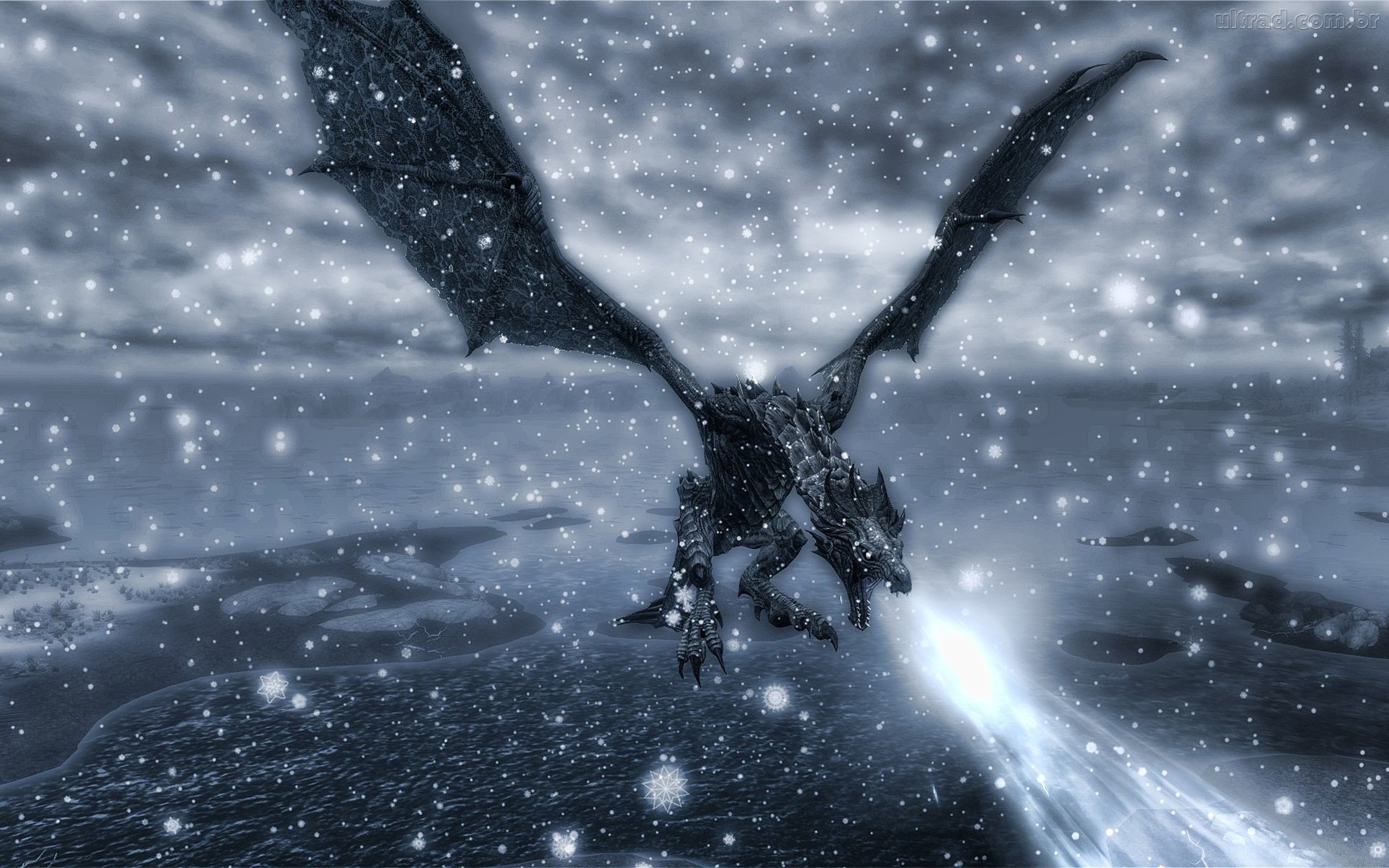 Elder Scrolls V Skyrim Dragons Wallpaper 
 Data-src - Eagle - HD Wallpaper 