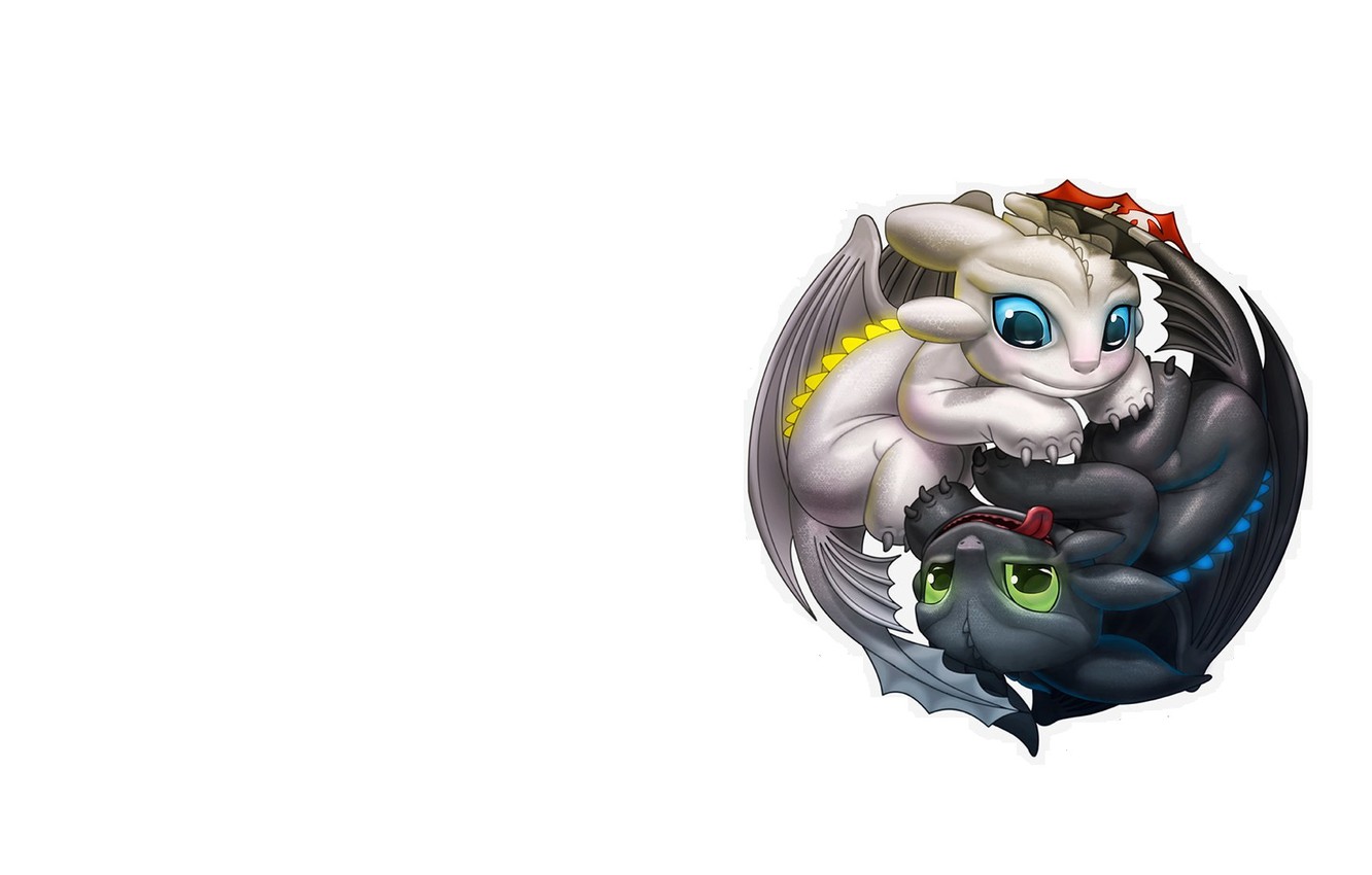 Photo Wallpaper Minimalism, Fantasy, Toothless, Children - Toothless Yin Yang - HD Wallpaper 