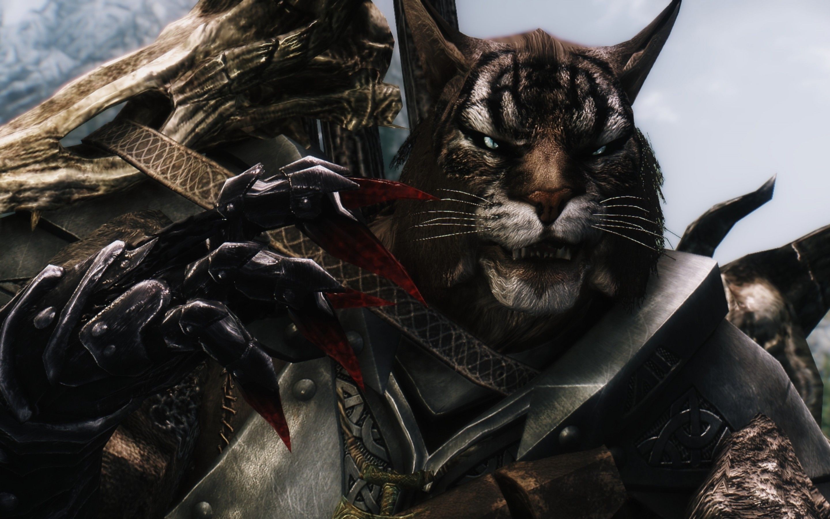 Skyrim Wallpaper Khajiit - HD Wallpaper 