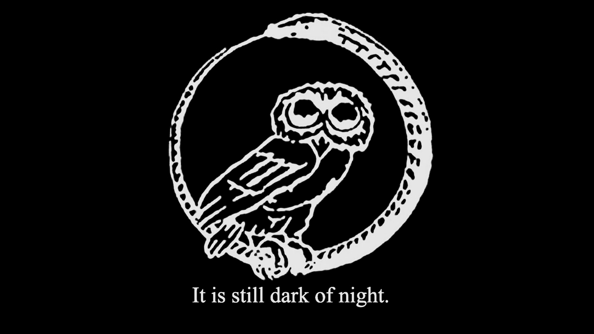 Millennium Owls - HD Wallpaper 