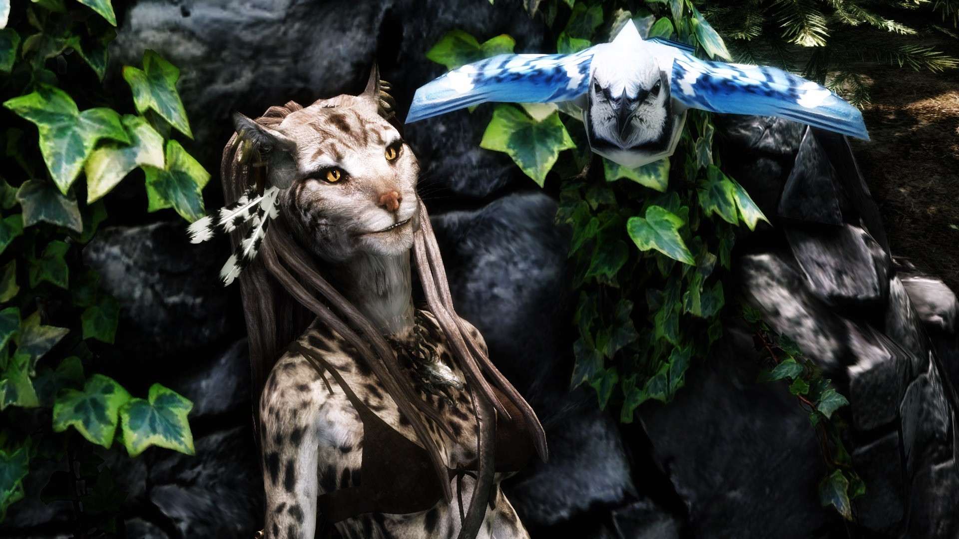 Skyrim Wallpaper Khajiit - HD Wallpaper 