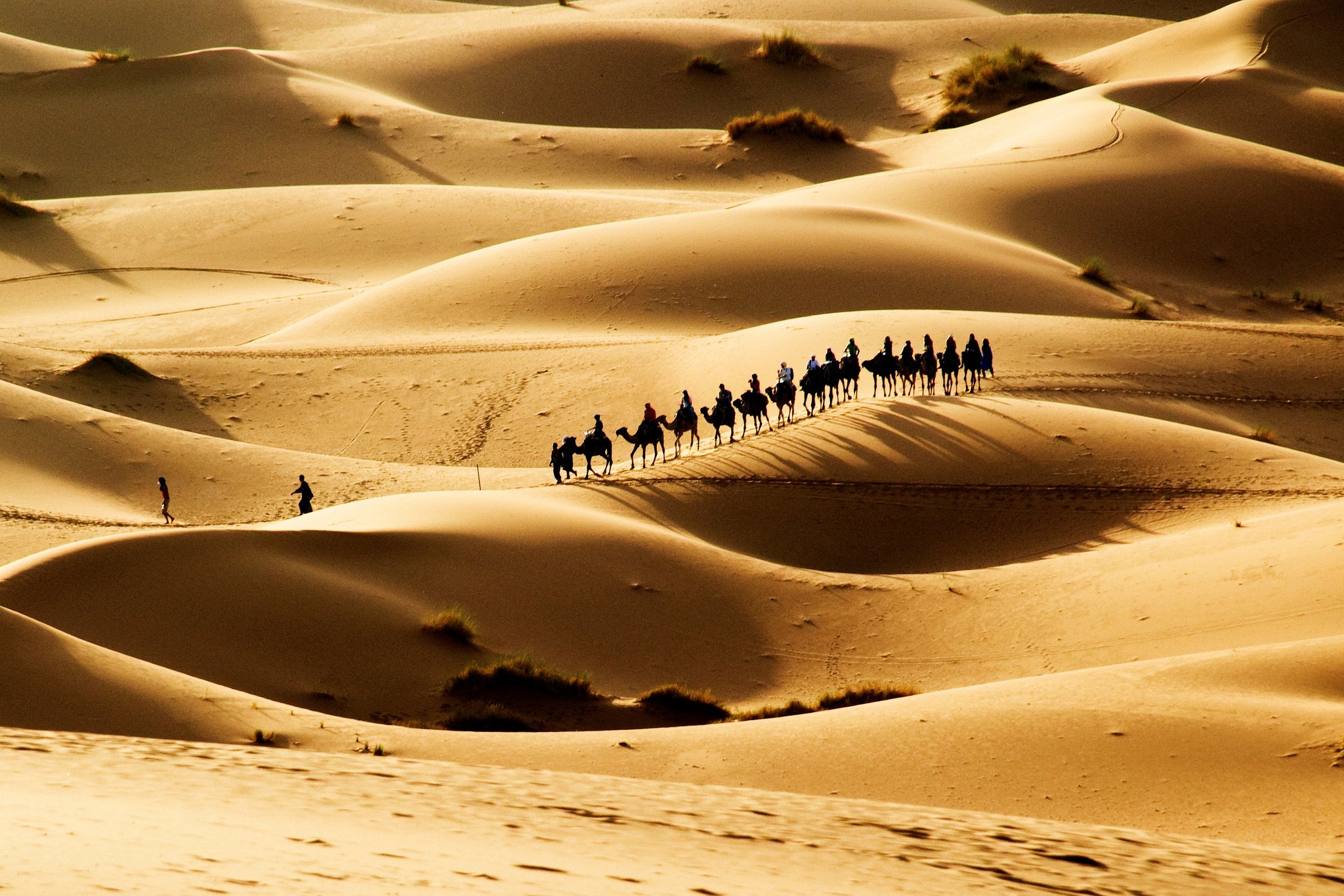 Caravan Sand Dunes - HD Wallpaper 