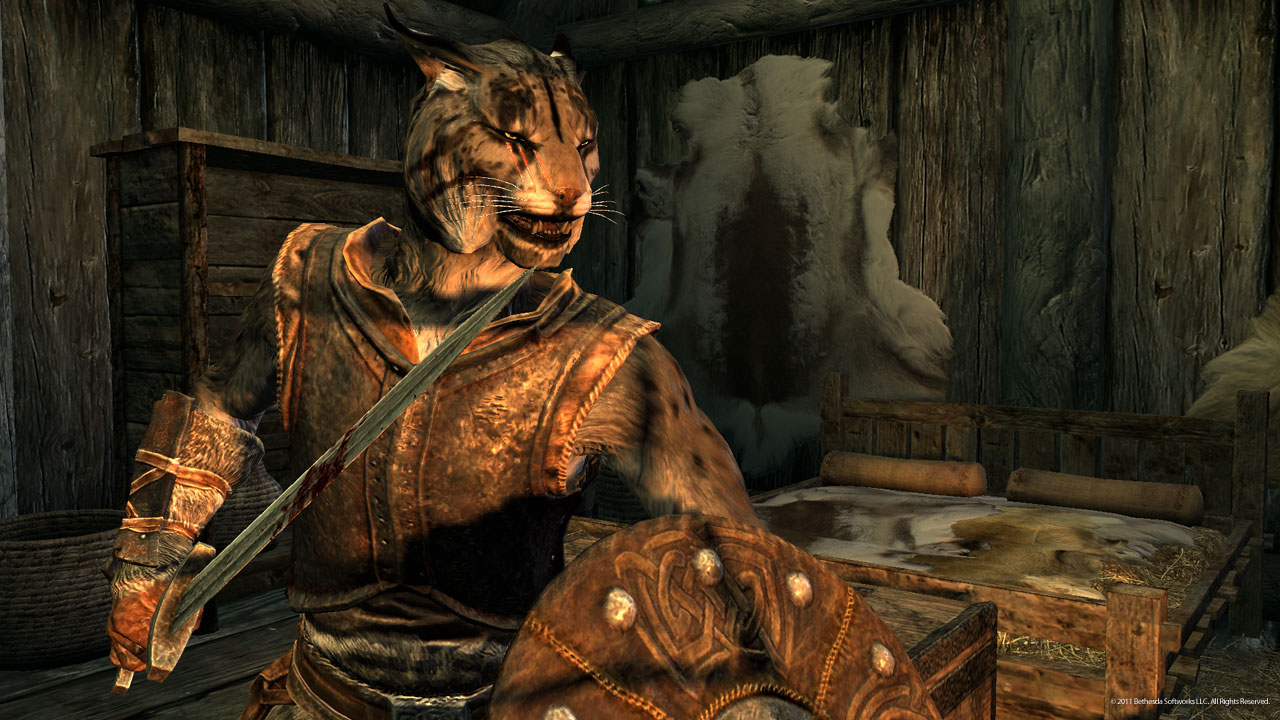 Khajiit Male - Khajiit From Skyrim - HD Wallpaper 