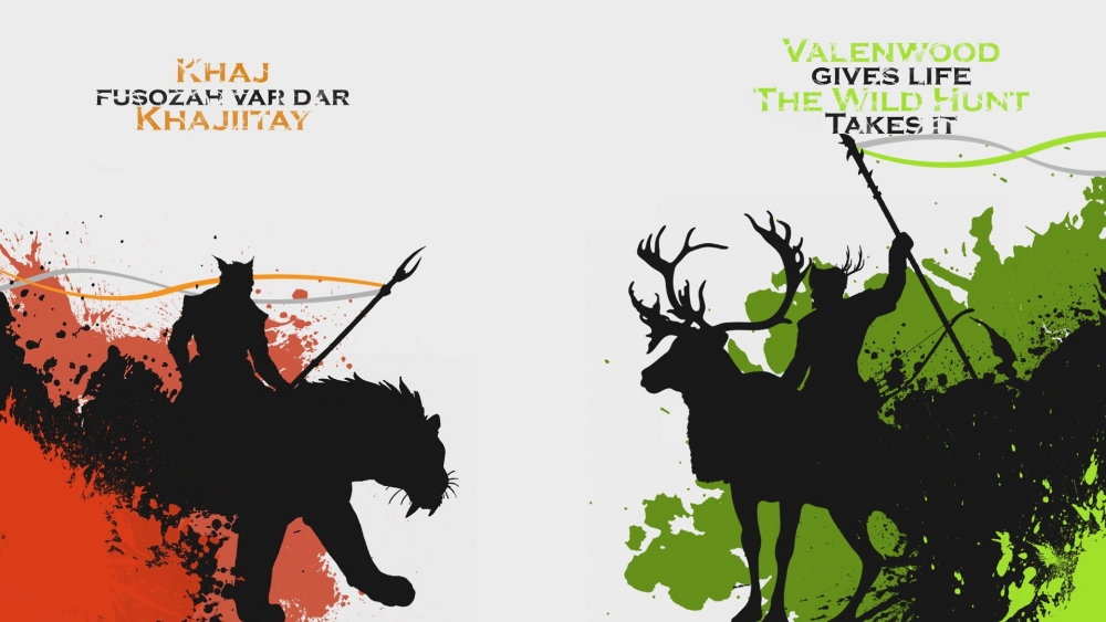 The Elder Scrolls V - Elder Scrolls Wild Hunt Bosmer - HD Wallpaper 