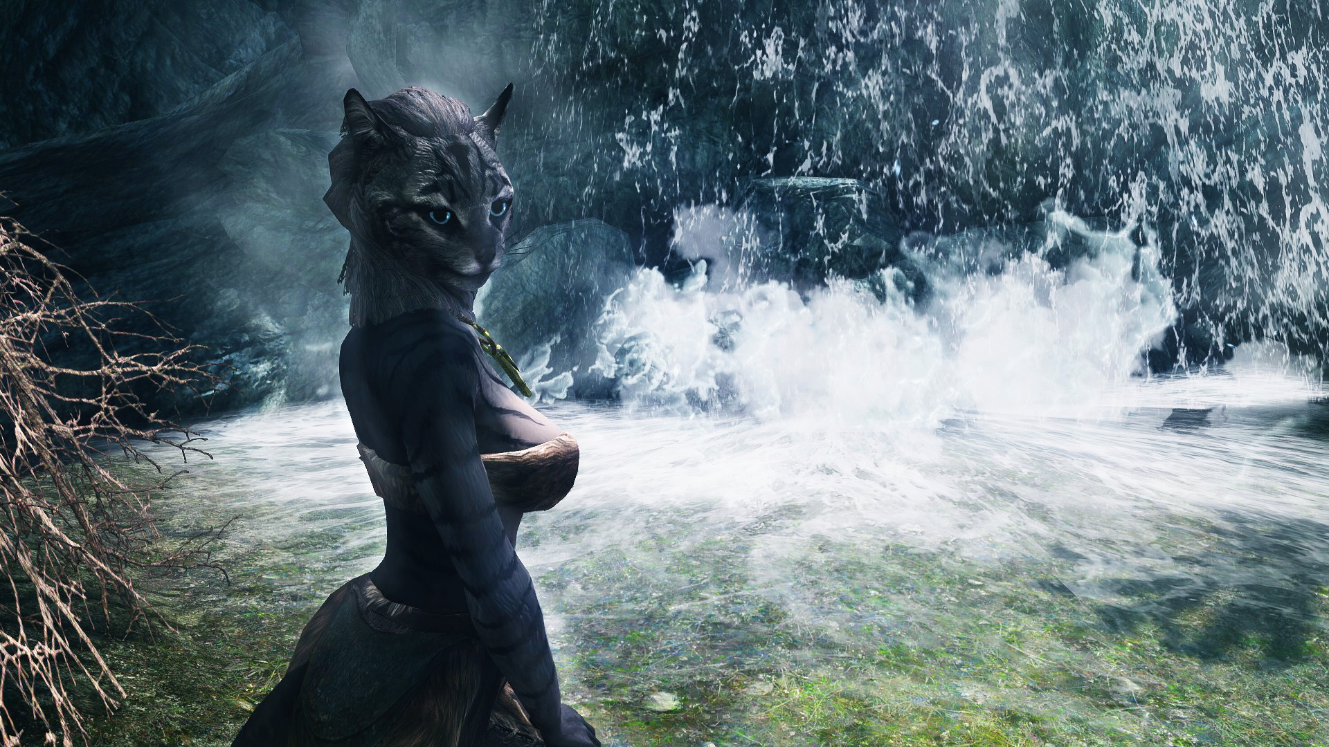 The Elder Scrolls V - Ks Hairdos Khajiit - HD Wallpaper 