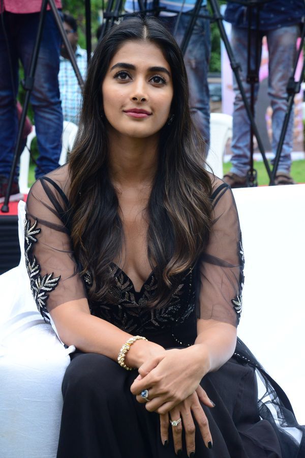 Pooja Hegde Latest Photo Shoot Stills, Pooja Hegde - Pooja Hegde Hot In Valmiki - HD Wallpaper 