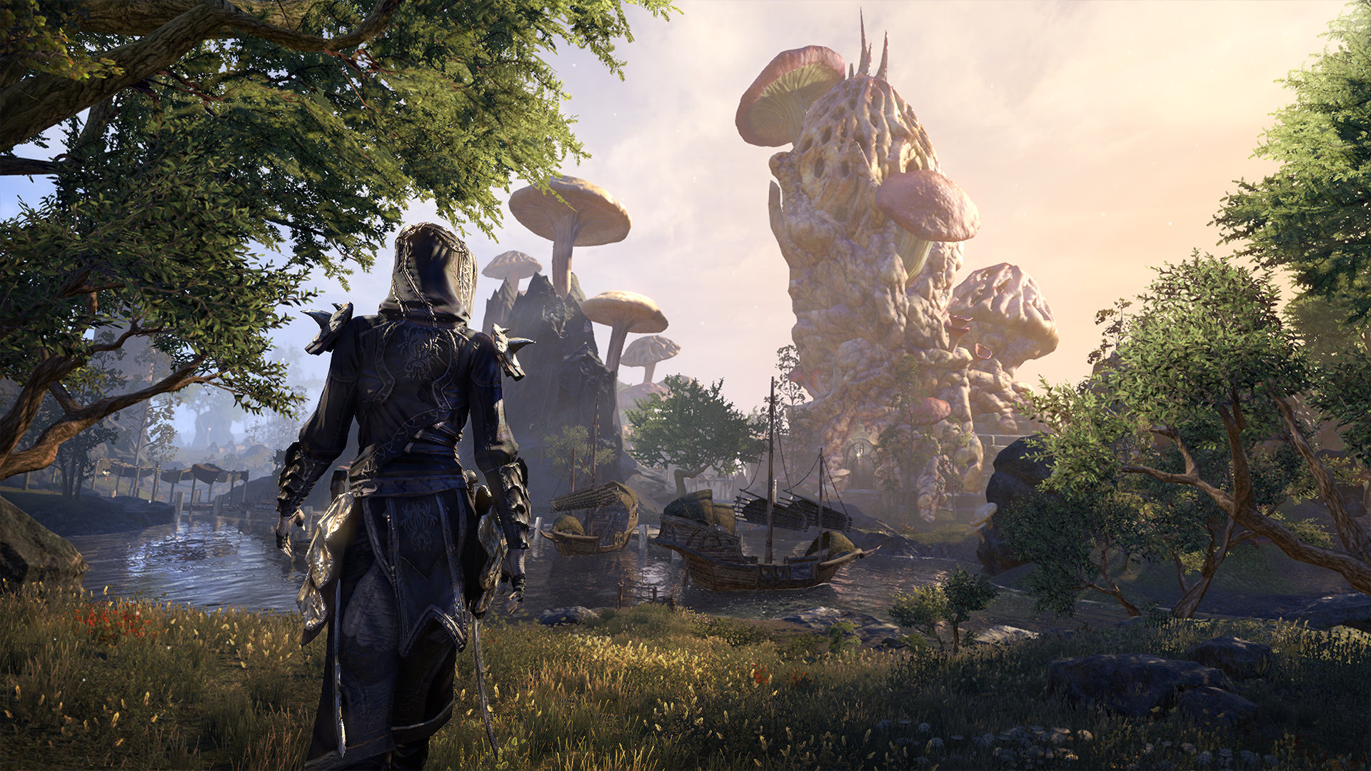 Elder Scrolls Online Summerset - HD Wallpaper 