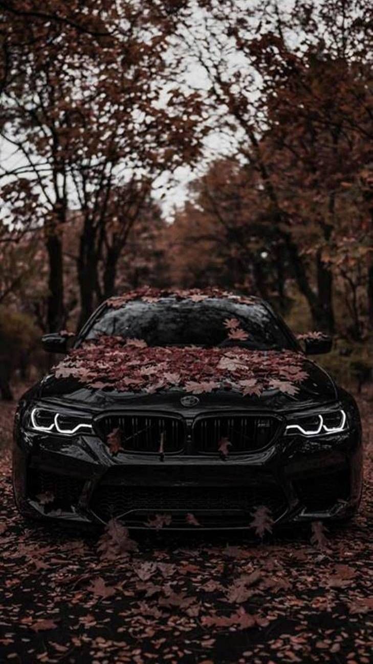 Bmw Wallpaper Iphone X 729x1296 Wallpaper Teahub Io