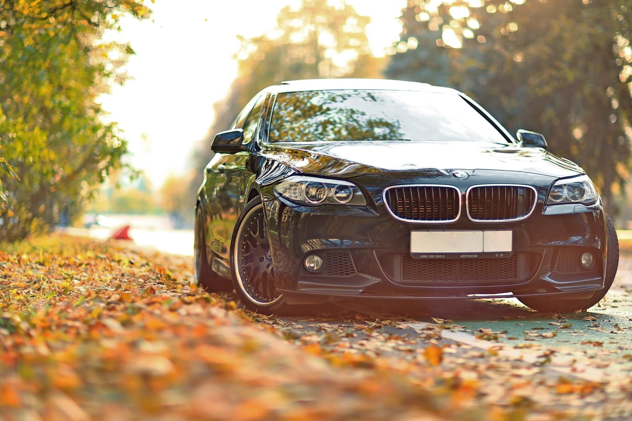 Bmw 5 Series Hd - HD Wallpaper 