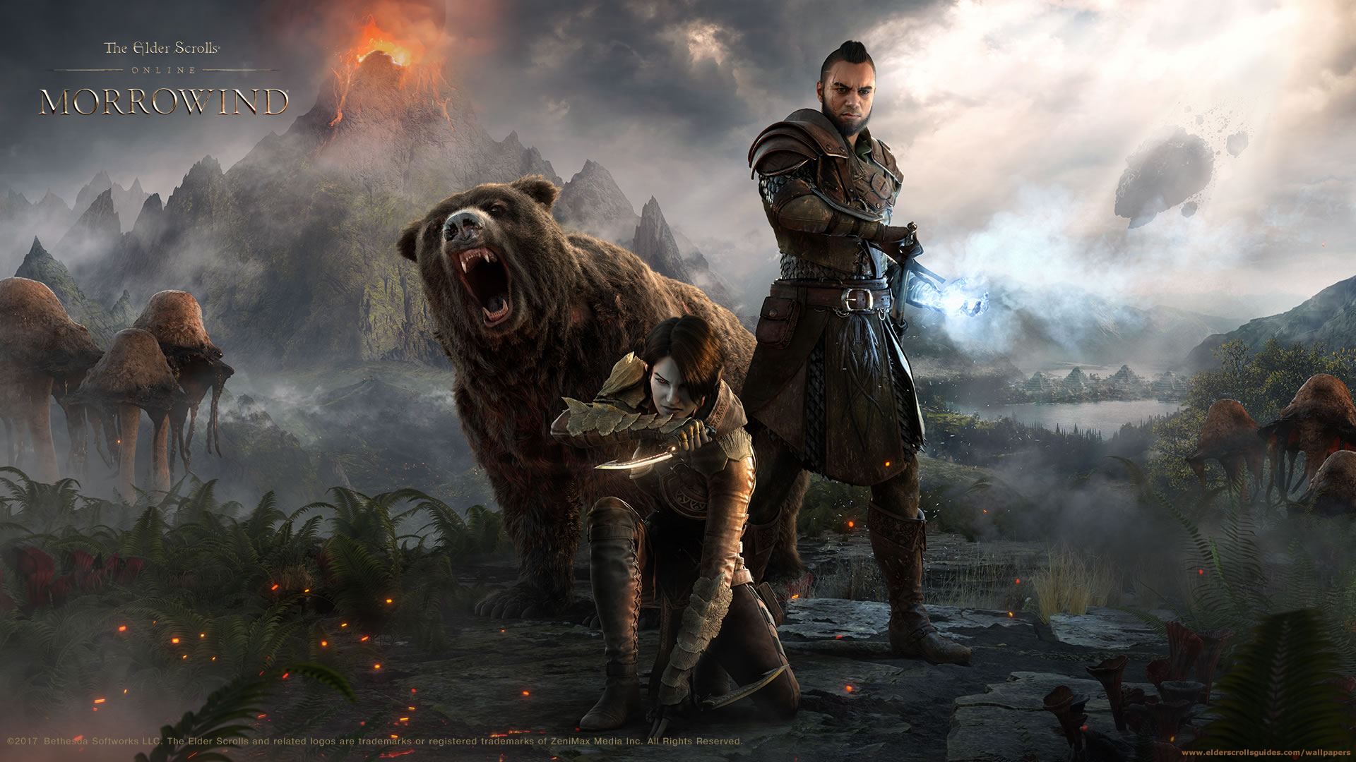 Morrowind Warden Wallpaper - Elder Scrolls Online Morrowind - HD Wallpaper 