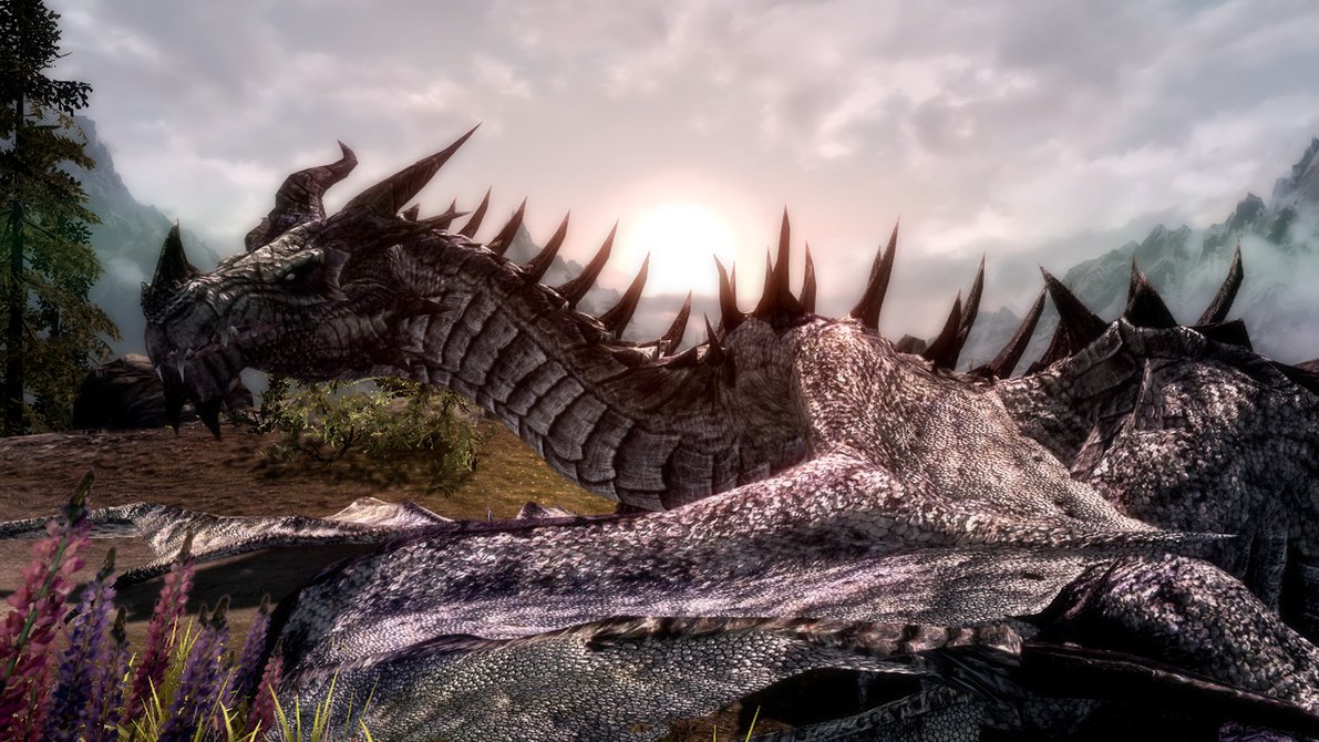 Skyrim Dragon Wallpaper-16plnhy - Dragon - HD Wallpaper 