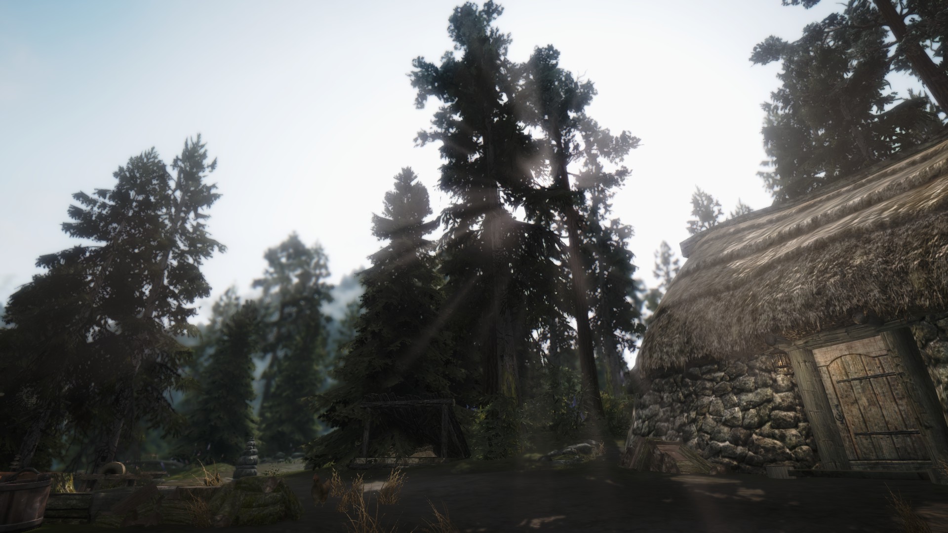 Larch - HD Wallpaper 