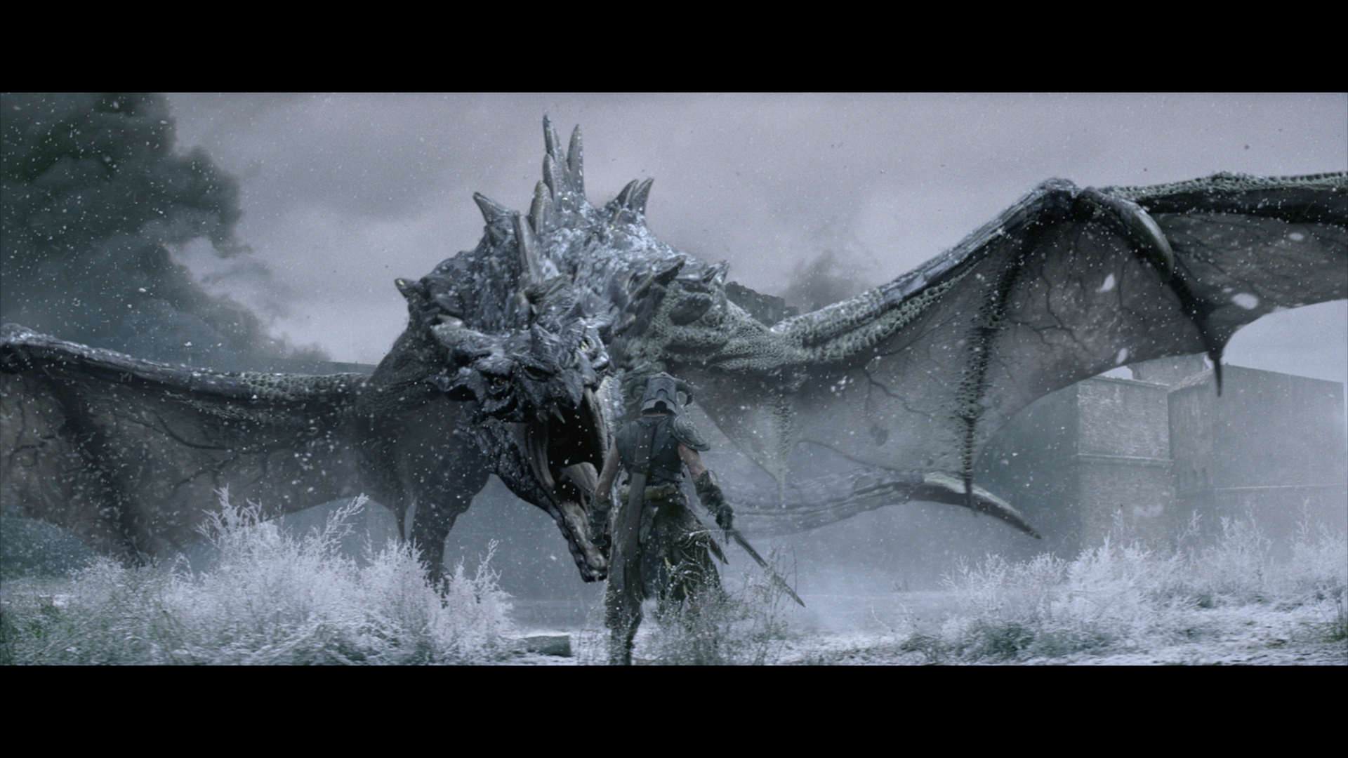 Skyrim Dragonborn Vs Dragon - HD Wallpaper 