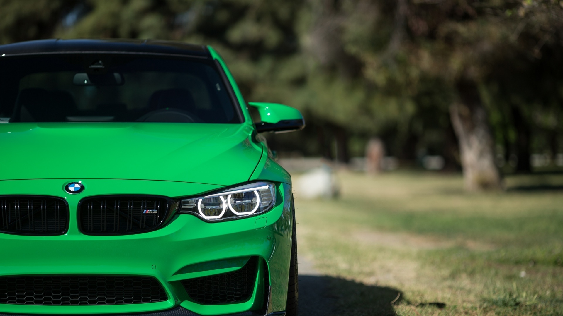 Download Wallpaper Bmw, M3, 2016, Green, Front View - Bmw M3 Hd Wallpaper 1080p - HD Wallpaper 