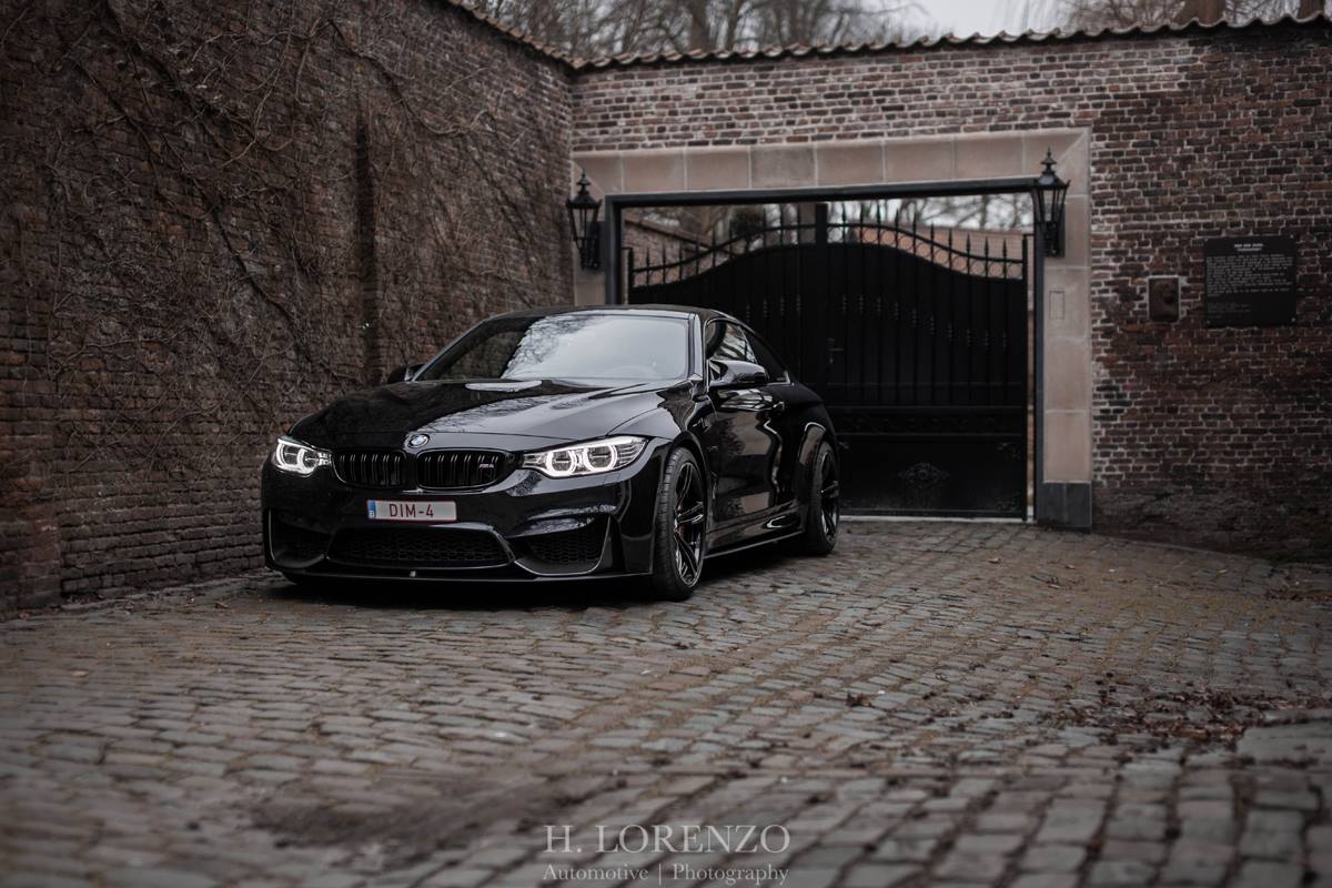 Wallpaper - HD Wallpaper 