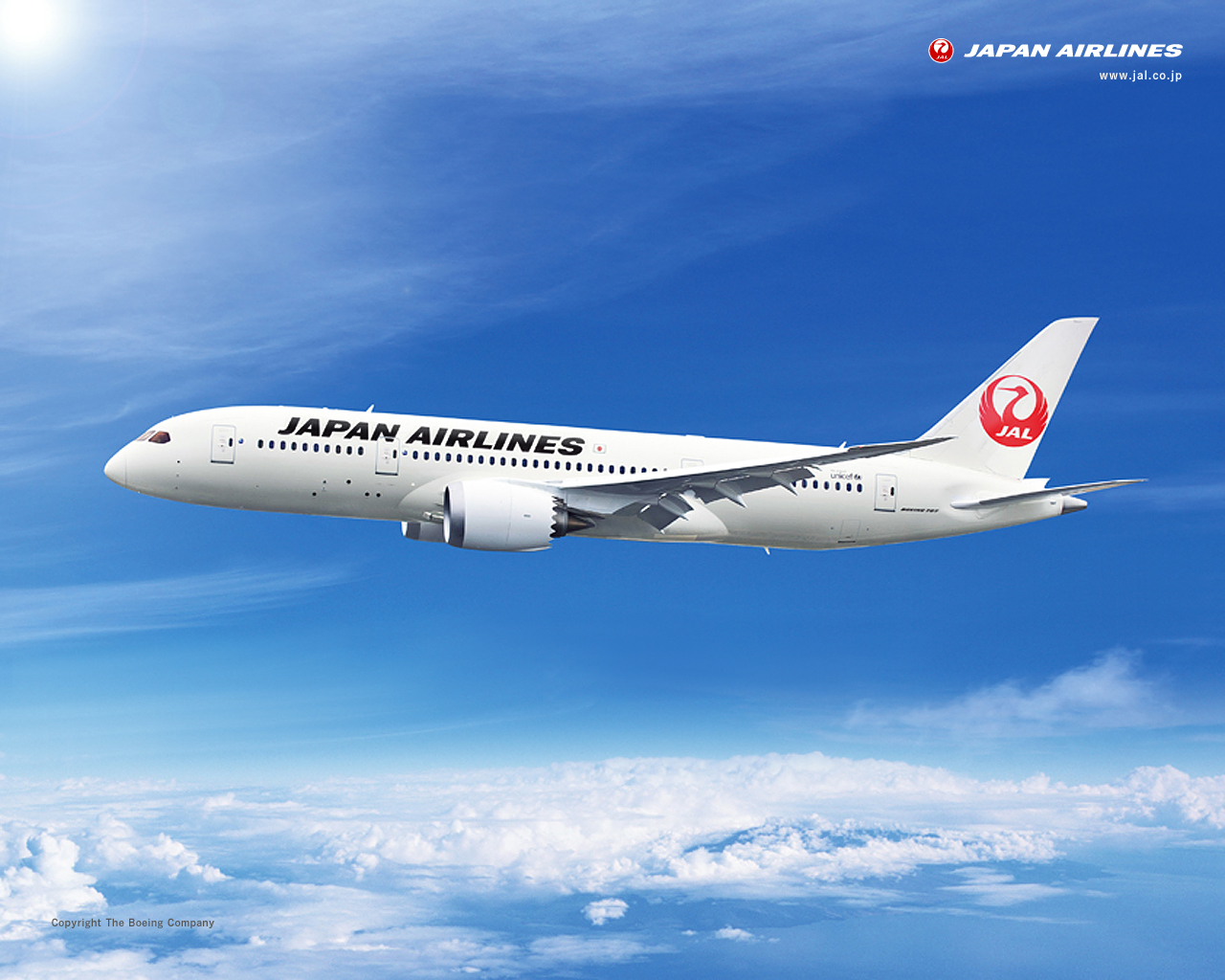 Japan Airlines 787 - HD Wallpaper 