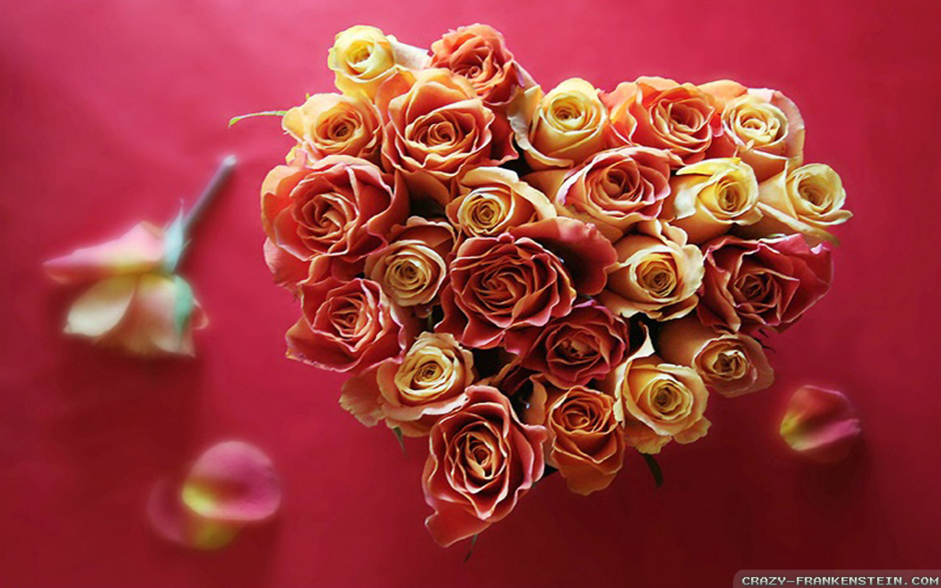 Happy Woman Day To My Special Friend - HD Wallpaper 