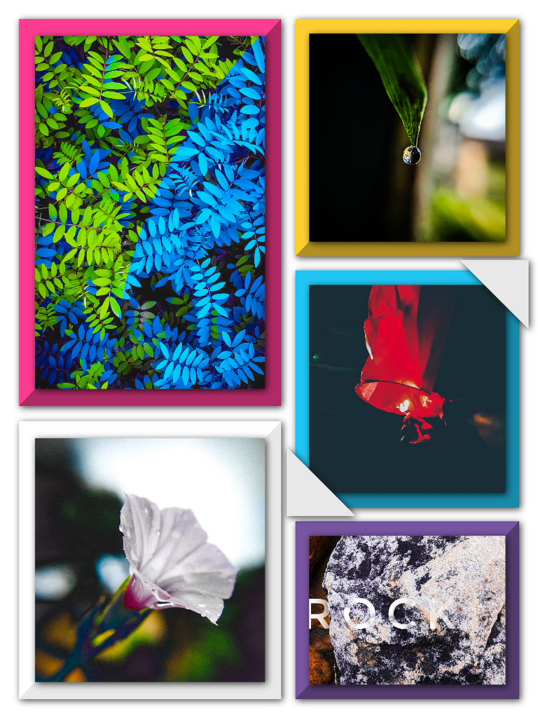 Floral Design - HD Wallpaper 