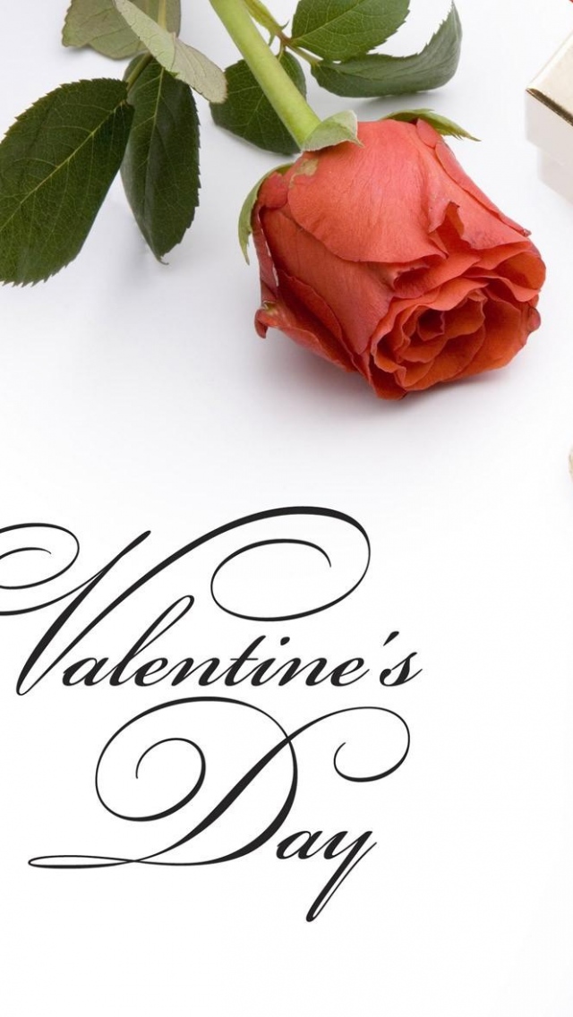 Valentines Day Rose Wallpaper - Forever And A Day - HD Wallpaper 